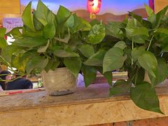 -鱼窝棚柴火铁锅炖(富山屯店)