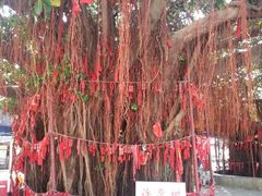 -江门古兜温泉小镇