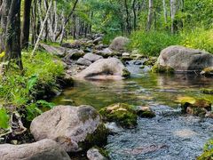 -玉渡山自然风景区