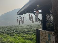 -中国茶叶博物馆(双峰馆区)