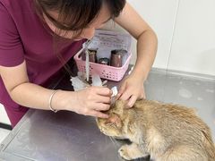 -美联众合动物医院·24h京西诊疗中心