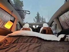 -TESLA 特斯拉(深圳观澜特斯拉直营钣喷中心)