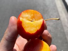 -咱家王新国把子肉(县东巷店)