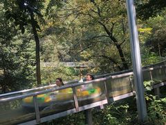 -石燕湖生态旅游景区