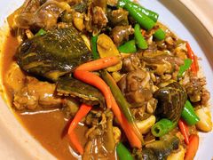 口味甲鱼-湘里乡亲甲王二老店