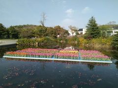 -白马涧龙池景区