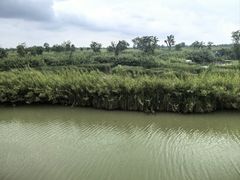 -泗洪洪泽湖湿地景区