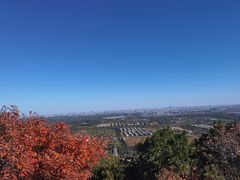 -北京西山国家森林公园