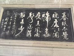 -东山雕花楼