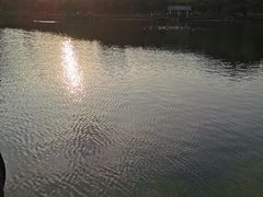 -四海公园(南山区)