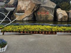 -枫林花海