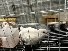 -谜·沉浸侦探剧本杀推理馆(静安店)