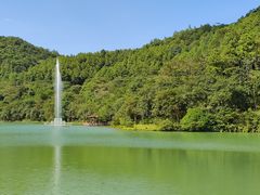 -广州白江湖森林公园