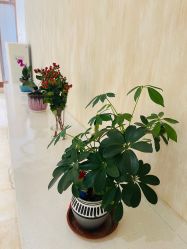 -诗媛嘉美健康管理中心(金桥店)