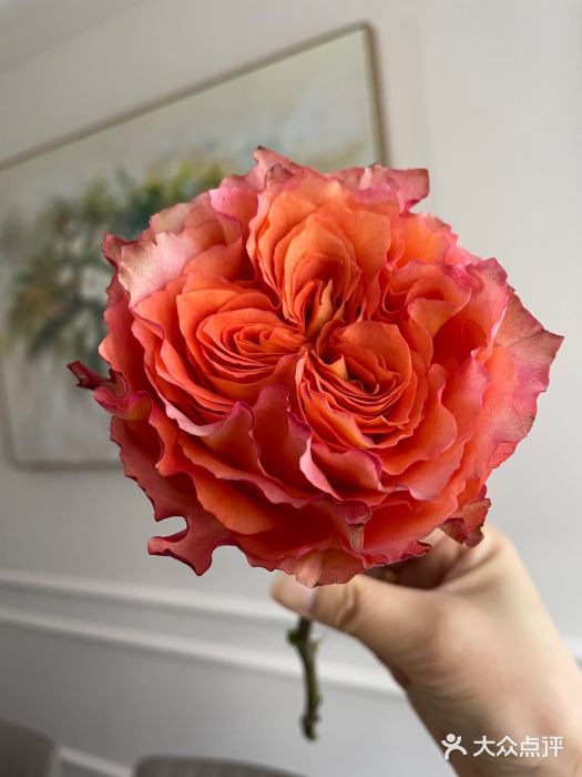 盒马鲜生(金桥国际广场店)图片