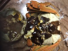 阳澄湖大闸蟹母蟹-阳澄湖大闸蟹·琼灵阁牌品牌连锁(吴中总店)