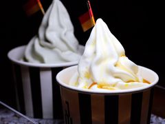 -JW德国冻酸奶Frozen Yogurt(龙湖成都滨江天街店)