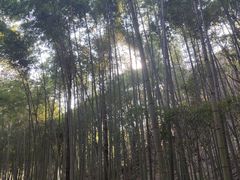 -鱼乐岛餐厅·户外花园主题餐厅