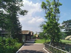 -迪茵湖田家舍生态农场