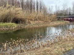 -溱湖国家湿地公园