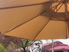 -麻小度青花椒鱼(安德总店)