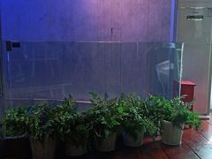 -唯尚主题式KTV(红谷滩店)