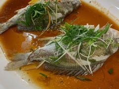 清蒸立鱼-水乡人家