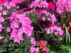 -三旗百汇商品城