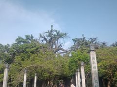 -海上田园