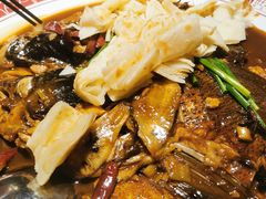 -旺顺阁鱼头泡饼(常营店)