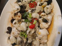 -有腥气私房菜·寻味顺德