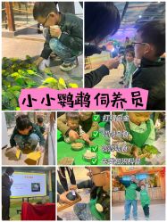 -酷嗒动物文化乐园(cutezoo西溪乐天城店)