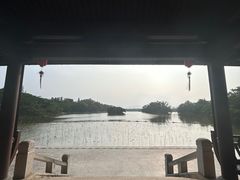 -江心屿景区