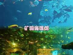 -长鹿旅游休博园