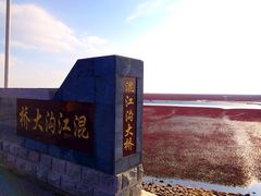 -红海滩国家风景廊道