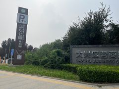 -大兴滨河森林公园