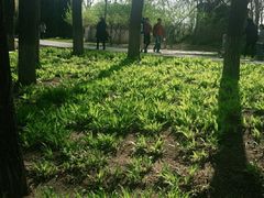 -北坞公园