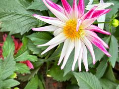 -郑州中国绿化博览园