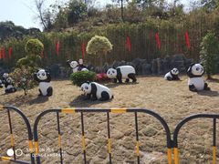 -泉州海丝野生动物世界