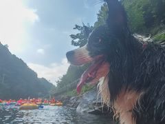 -安吉龙王山峡谷漂流