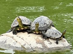 -三亚南山文化旅游区