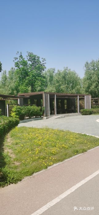 坝河休闲公园图片