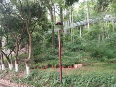 -宝晶宫旅游景区