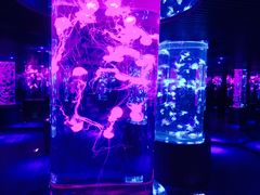 -南昌海洋公园