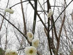 -东湖落雁景区