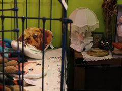 -恋物百货商店(华侨城店)