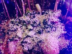 OhBar偶吧音乐酒吧-ohbar live house(人广店)