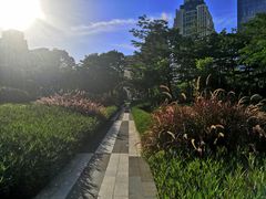 -深圳市人才园(深南大道店)