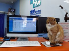 -北京博爱动物医院有限公司