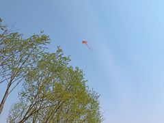 -西青郊野公园